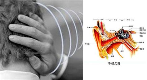 左邊耳鳴|耳朵嗡嗡叫，持續耳鳴怎麼辦？一文看懂「耳鳴」的8。